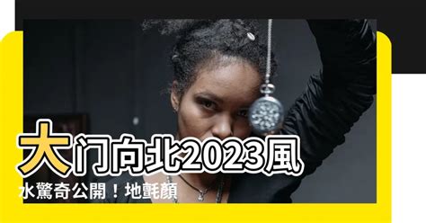 2023 大門地氈顏色